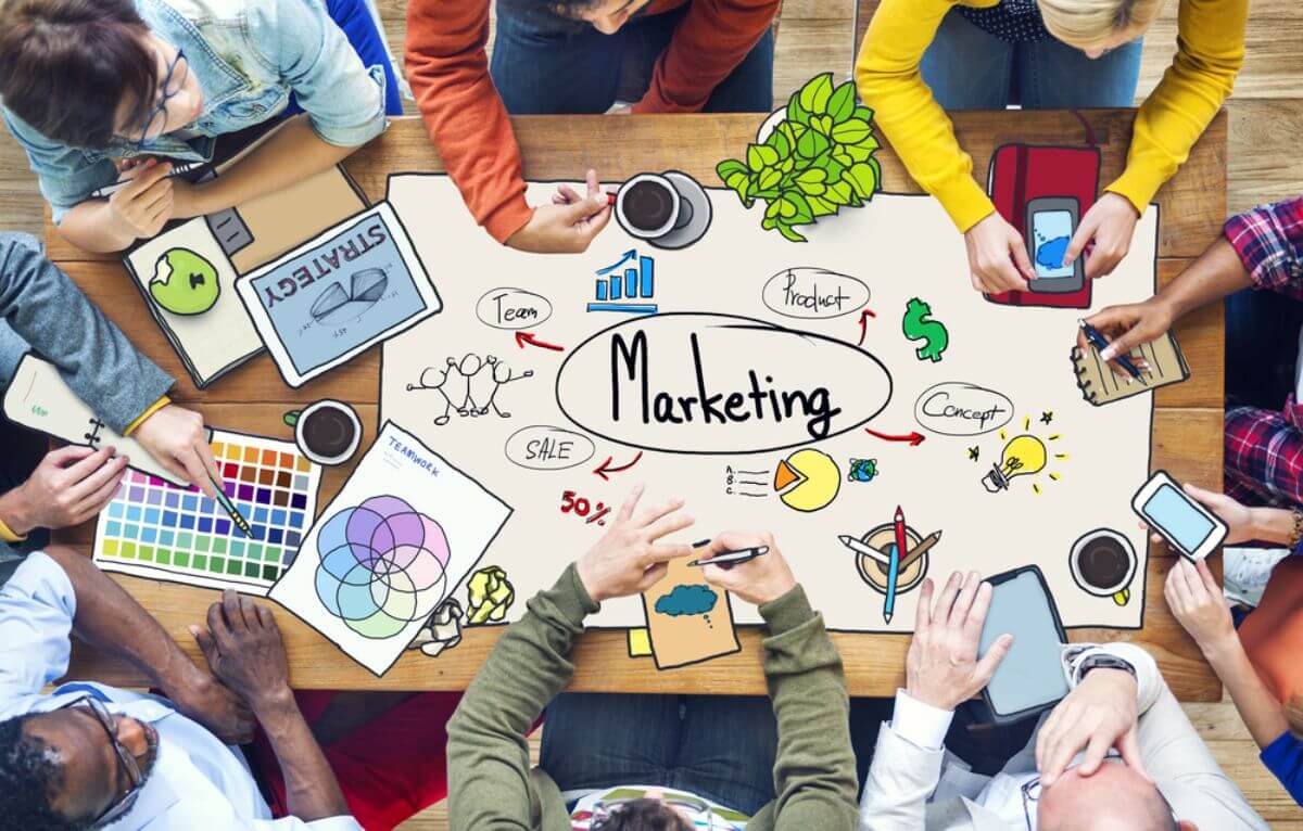 Specialized Expertise and Tailored Strategies